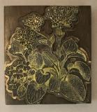 Click for more details.